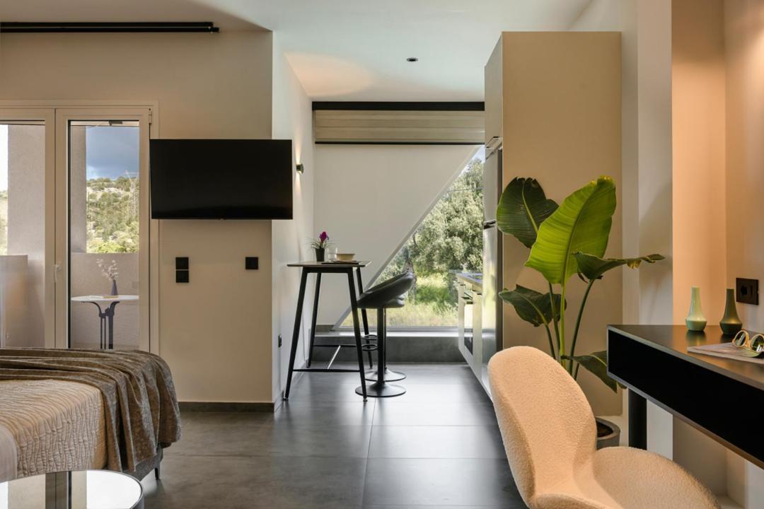 X Luxury Suites Argostóli Extérieur photo